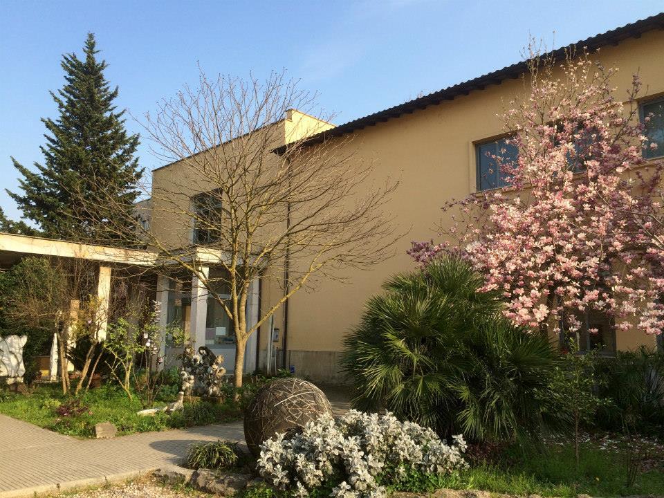 Istituto D Arte Liceo Artistico Enzo Rossi Di Roma Licei Guidascuole